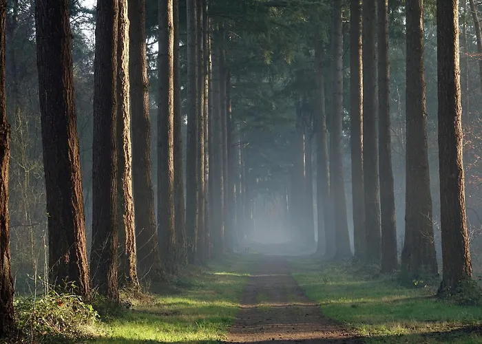 Διαμέρισμα Veluwe *