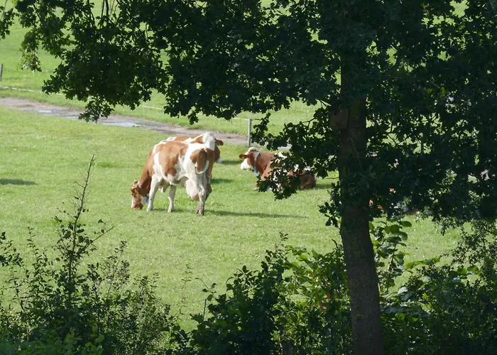 Veluwe Διαμέρισμα