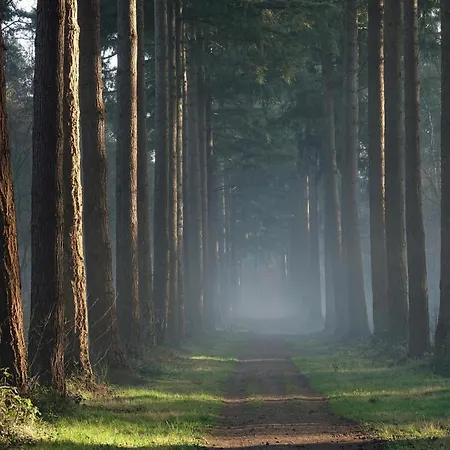 Appartement Veluwe *